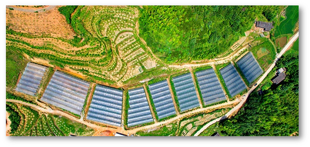 智慧大棚解決方案 智慧大棚解決方案